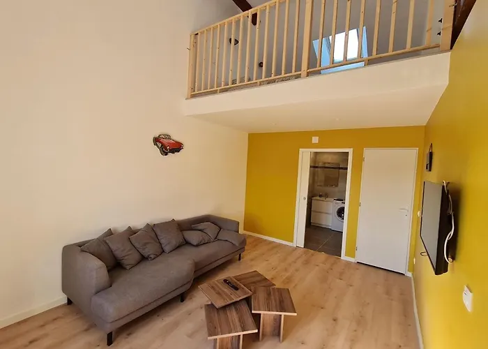 Renove Pres De Nancy Et Metz, Animaux Admis - Fr-1-584-296